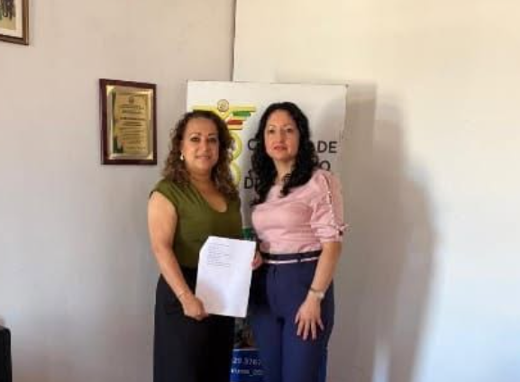 Ing. Soraya Añazco Ramírez
